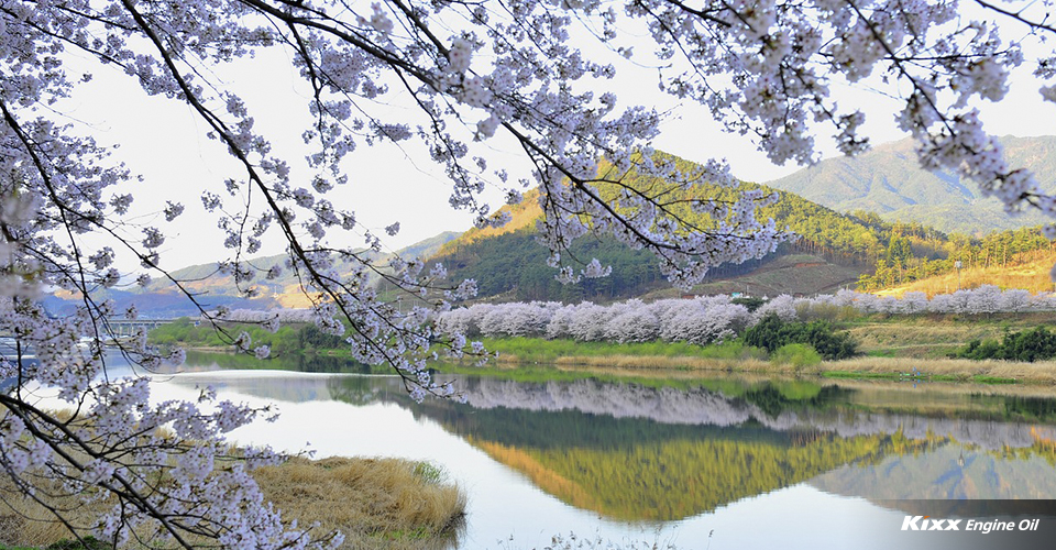 섬진강변